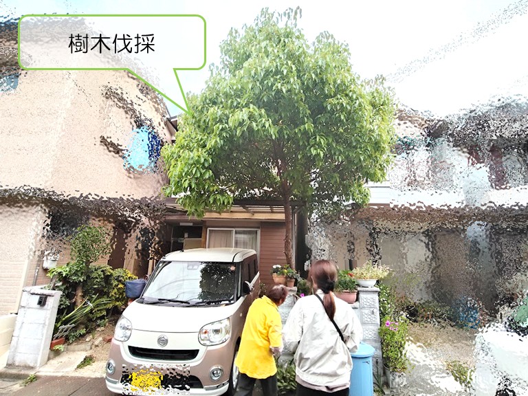 岸和田市　樹木伐採